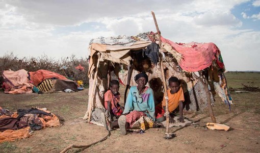 Maryama är på flykt med sina tre barnbarn från den förödande torkan i Somalia.