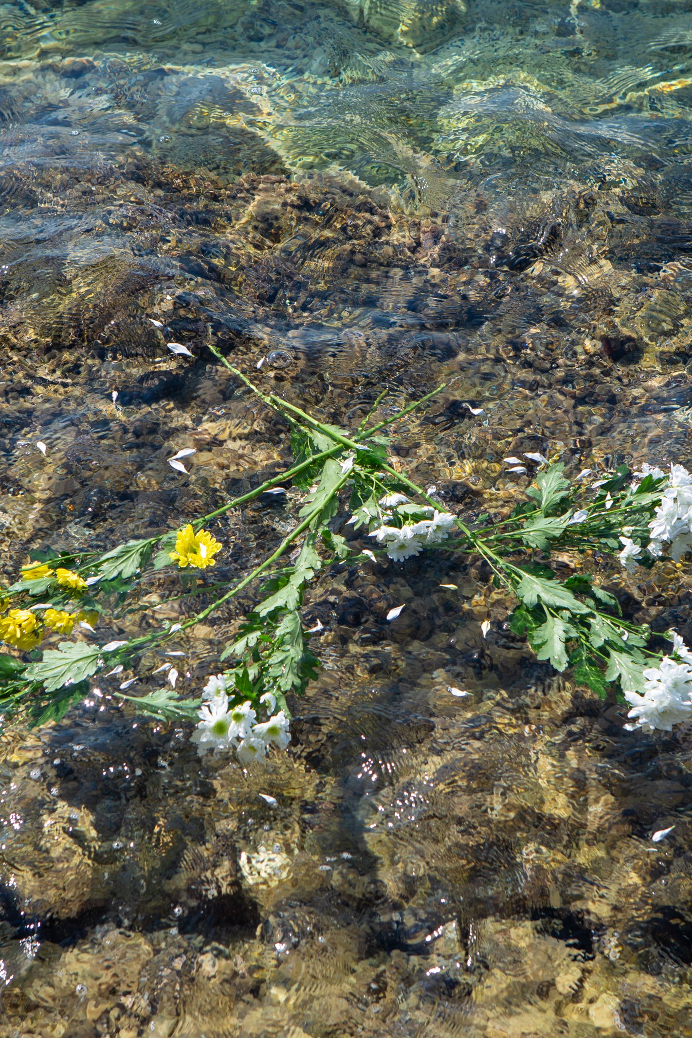 Lampedusa, 3 oktober 2013. 368 människor förlorade livet i en ranglig båt utanför ön.