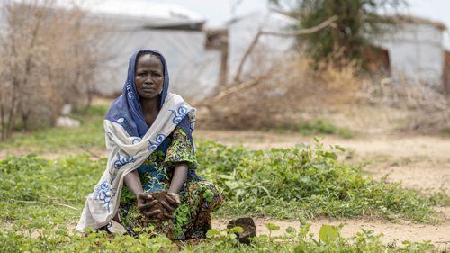 En kvinna i Kamerun planterar växter och tittar in i kameran.