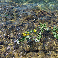 Lampedusa, 3 oktober 2013. 368 människor förlorade livet i en ranglig båt utanför ön.
