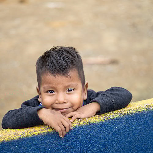 Säg grattis med ett gåvobevis som hjälper människor på flykt.