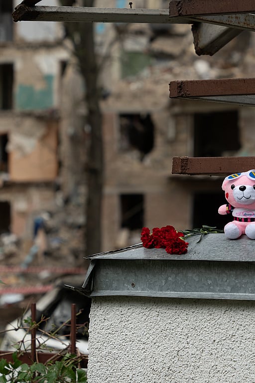 Ett gosedjur är placerad på en mur med sönderbombade hem i bakgrunden.
