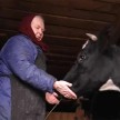 Kateryna vill inte lämna sin ko bakom.