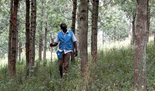 - Vi har kunnat etablera en mängd olika energi- och miljörelaterade projekt. Stort tack, med ert stöd kan vi återplantera skogen och kämpa för klimatet, säger Hillary Agwe, ansvarig på UNHCR i Uganda.