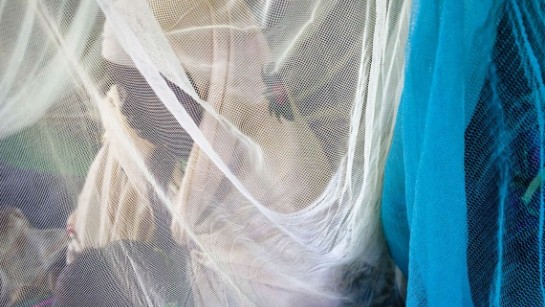 Myggnät är bästa sättet att skydda sig från malaria.