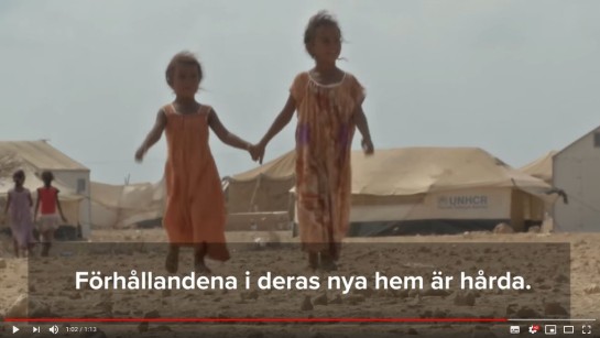 På flykt från Jemen
