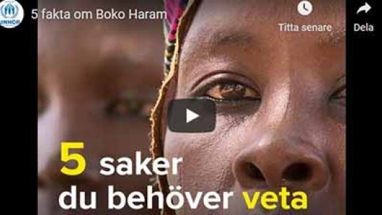 5 fakta om Boko Haram