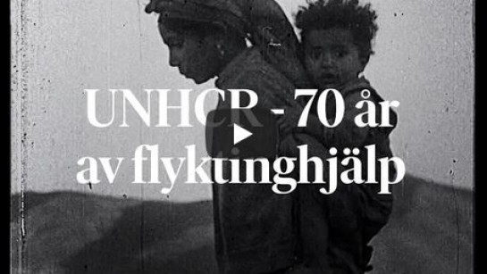 UNHCR grundades för 70 år sedan.