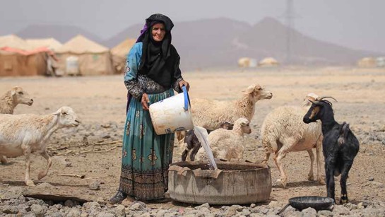 Musaeda Talib Ayedh är 69 år och på flykt i Jemen. Hon bor med sin dotter i ett tältläger utanför staden Marib. Musaeda har dålig syn och hörsel. Civila hamnar i korselden när striderna kommer allt närmare och hjälpen har svårt att nå fram.