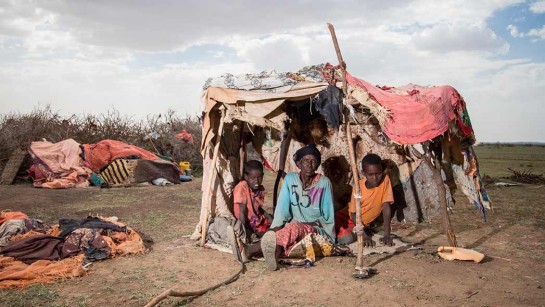 Maryama Yassin Mohamed är på flykt med sina tre barnbarn i Somalia. Hon tvingades flytta på grund av torkan. &quot;Vi tvingades flytta på grund av torkan. Vi hade 200 få, nu har vi bara 50 kvar&quot; berättar hon.
