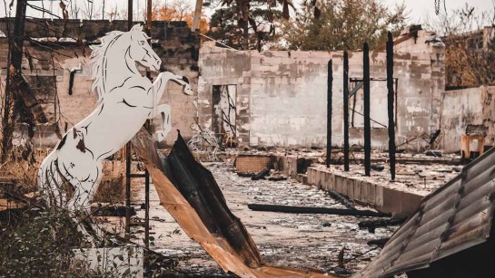 UNHCR partner Proliska har delat ut nödhjälp som hygienprodukter och presenningar till det hårt krigsdrabbade Oleksandrivka i Charkiv. Det är en spökstad med övergivna, förstörda hus och utsvultna djur som planlöst vandrar runt. 
