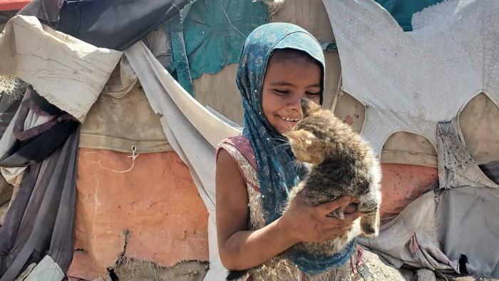 En flicka på flykt i Jemen leker med en katt.